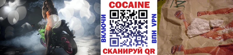 где купить наркоту  Ардатов  COCAIN Fish Scale 