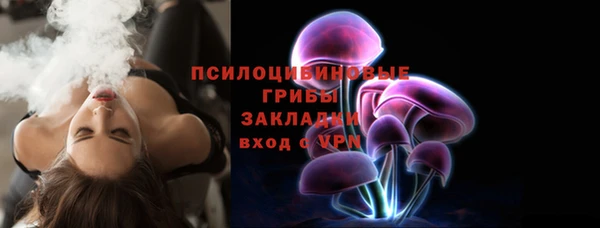 ПСИЛОЦИБИНОВЫЕ ГРИБЫ Алексин