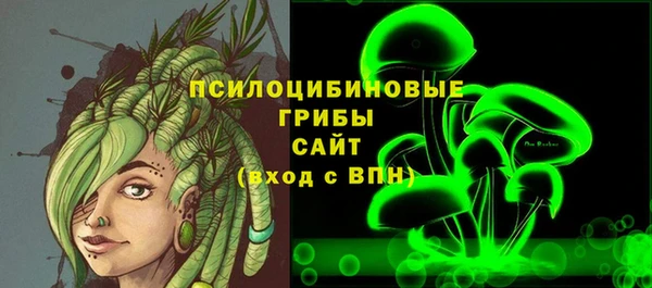 ПСИЛОЦИБИНОВЫЕ ГРИБЫ Алексин