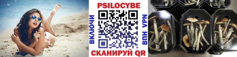 Псилоцибиновые грибы GOLDEN TEACHER  Ардатов 