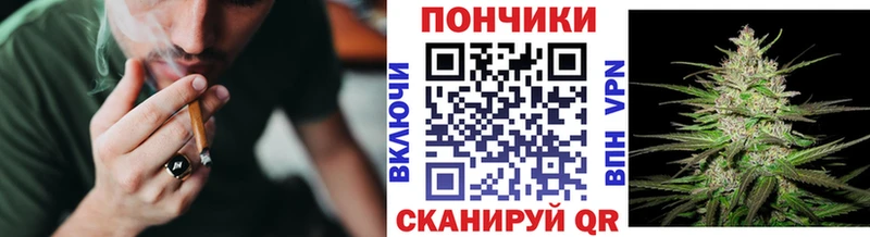 Канабис ГИДРОПОН  где найти   Ардатов 